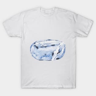 Cool beach stone T-Shirt